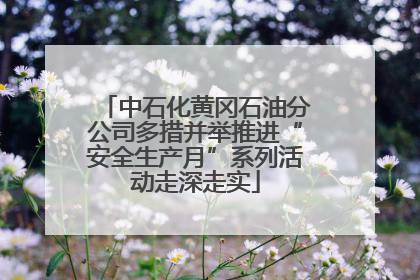 中石化黄冈石油分公司多措并举推进“安全生产月”系列活动走深走实