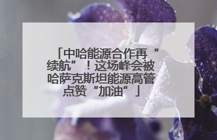 中哈能源合作再“续航”！这场峰会被哈萨克斯坦能源高管点赞“加油”