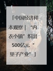 中国经济样本观察｜“内衣小镇”织出500亿元“里子产业”