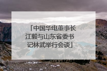 中国华电董事长江毅与山东省委书记林武举行会谈