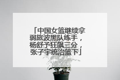 中国女篮继续拿弱旅波黑队练手，杨舒予狂飙三分，张子宇统治篮下