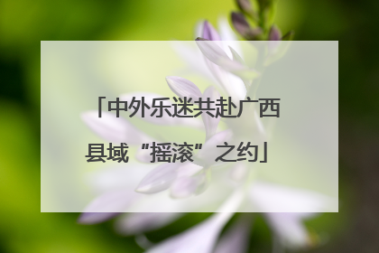 中外乐迷共赴广西县域“摇滚”之约