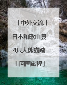 中外交流丨日本和歌山县4只大熊猫踏上回国旅程