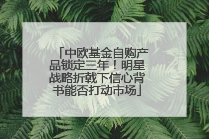 中欧基金自购产品锁定三年！明星战略折戟下信心背书能否打动市场