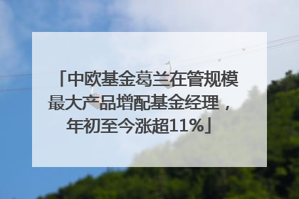 中欧基金葛兰在管规模最大产品增配基金经理，年初至今涨超11%