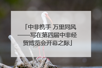 中非携手 万里同风——写在第四届中非经贸博览会开幕之际