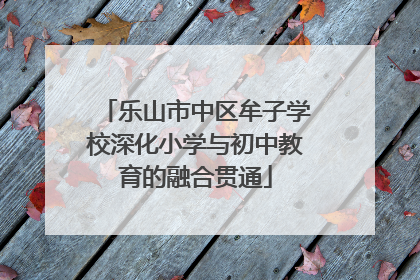乐山市中区牟子学校深化小学与初中教育的融合贯通