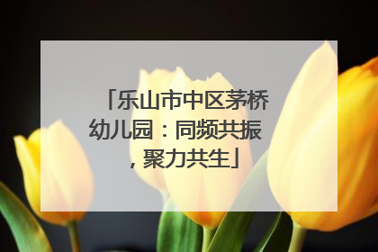 乐山市中区茅桥幼儿园：同频共振，聚力共生