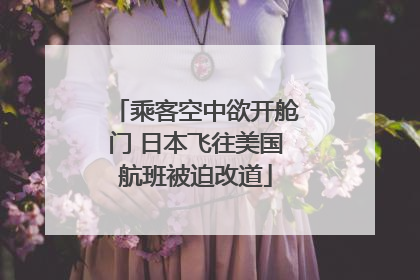 乘客空中欲开舱门 日本飞往美国航班被迫改道