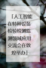 人工智能在特种设备检验检测监测领域应用交流会在敦煌举办