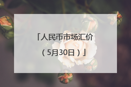 人民币市场汇价（5月30日）