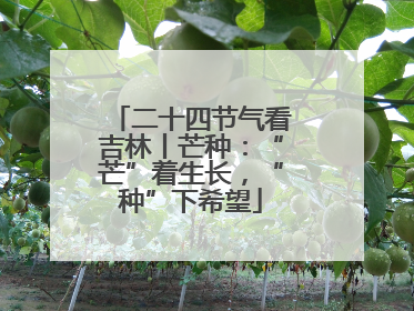 二十四节气看吉林丨芒种：“芒”着生长，“种”下希望