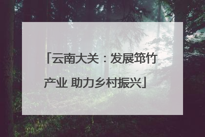 云南大关：发展筇竹产业 助力乡村振兴