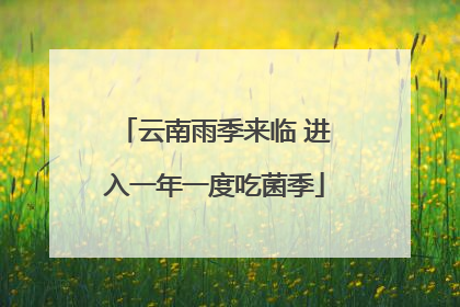 云南雨季来临 进入一年一度吃菌季