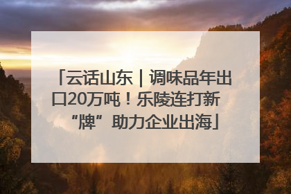 云话山东｜调味品年出口20万吨！乐陵连打新“牌”助力企业出海