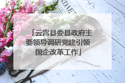 云霄县委县政府主要领导调研党建引领国企改革工作