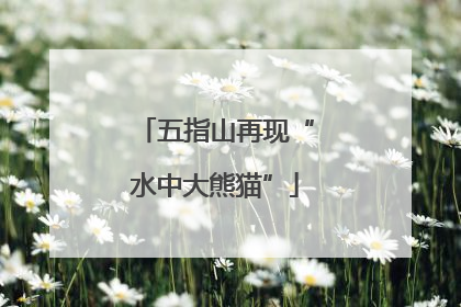 五指山再现“水中大熊猫”