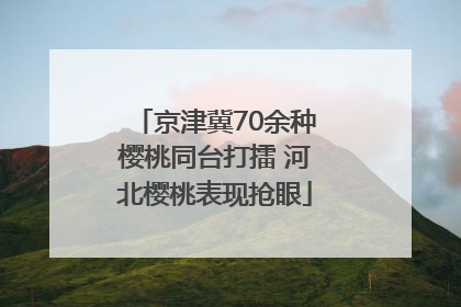 京津冀70余种樱桃同台打擂 河北樱桃表现抢眼