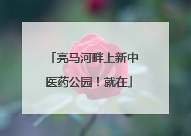 亮马河畔上新中医药公园！就在