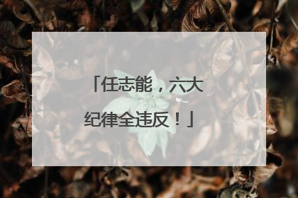 任志能，六大纪律全违反！