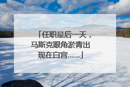任职最后一天，马斯克眼角淤青出现在白宫……