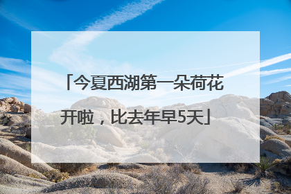 今夏西湖第一朵荷花开啦，比去年早5天