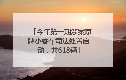 今年第一期涉案京牌小客车司法处置启动，共618辆
