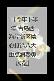 今年下半年 青岛西海岸新区精心打造八大重点消费类展览