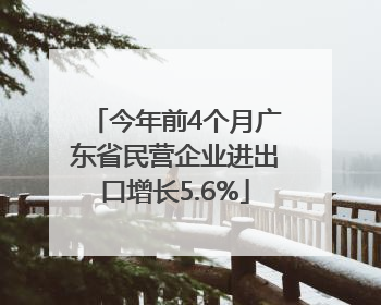 今年前4个月广东省民营企业进出口增长5.6%