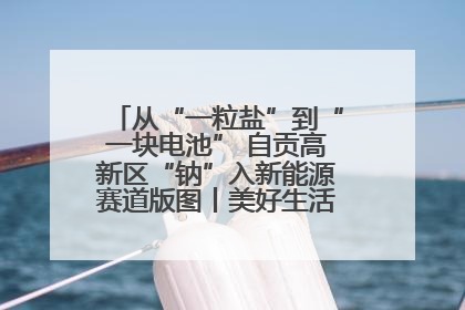 从“一粒盐”到“一块电池” 自贡高新区“钠”入新能源赛道版图丨美好生活有“盐”味