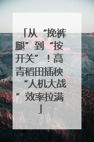 从“挽裤腿”到“按开关”！高青稻田插秧“人机大战”效率拉满