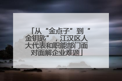 从“金点子”到“金钥匙”，江汉区人大代表和职能部门面对面解企业难题