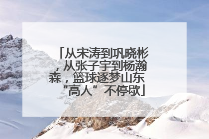 从宋涛到巩晓彬，从张子宇到杨瀚森，篮球逐梦山东“高人”不停歇