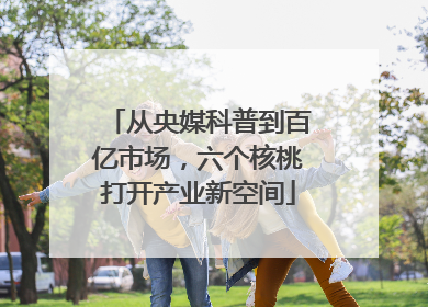 从央媒科普到百亿市场，六个核桃打开产业新空间