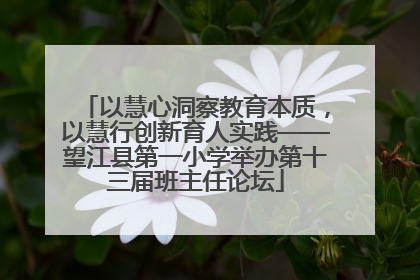 以慧心洞察教育本质，以慧行创新育人实践——望江县第一小学举办第十三届班主任论坛