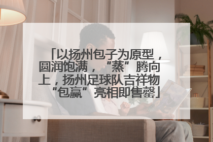 以扬州包子为原型，圆润饱满，“蒸”腾向上，扬州足球队吉祥物“包赢”亮相即售罄