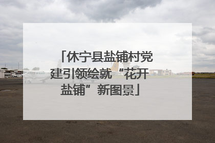 休宁县盐铺村党建引领绘就“花开盐铺”新图景