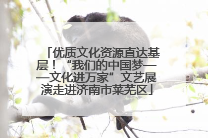 优质文化资源直达基层！“我们的中国梦——文化进万家”文艺展演走进济南市莱芜区