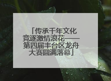 传承千年文化 竞逐激情浪花——第四届丰台区龙舟大赛圆满落幕