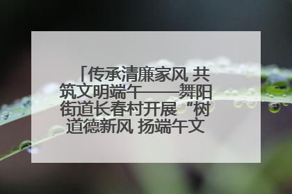 传承清廉家风 共筑文明端午——舞阳街道长春村开展“树道德新风 扬端午文化”主题活动