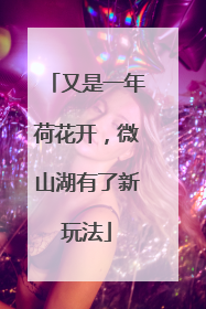 又是一年荷花开，微山湖有了新玩法