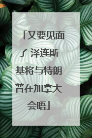 又要见面了 泽连斯基将与特朗普在加拿大会晤