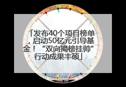 发布40个项目榜单，启动50亿元引导基金！“双向揭榜挂帅”行动成果丰硕