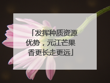 发挥种质资源优势，元江芒果香更长走更远