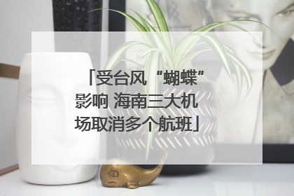 受台风“蝴蝶”影响 海南三大机场取消多个航班