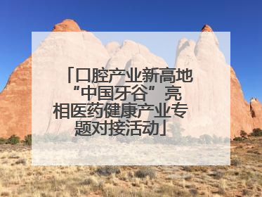 口腔产业新高地 “中国牙谷”亮相医药健康产业专题对接活动