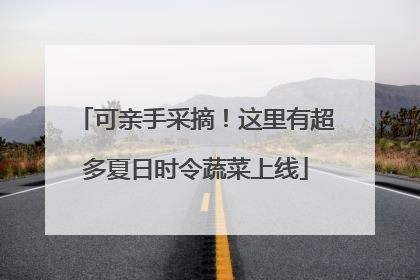 可亲手采摘！这里有超多夏日时令蔬菜上线