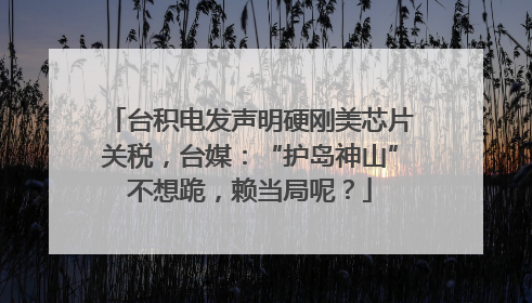 台积电发声明硬刚美芯片关税，台媒：“护岛神山”不想跪，赖当局呢？