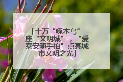 十万“啄木鸟”一座“文明城”，“爱泰安随手拍”点亮城市文明之光