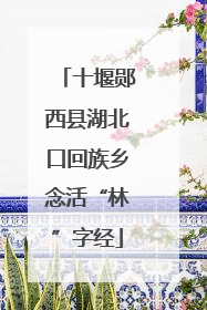 十堰郧西县湖北口回族乡念活“林”字经